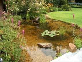 tuinvijver 001