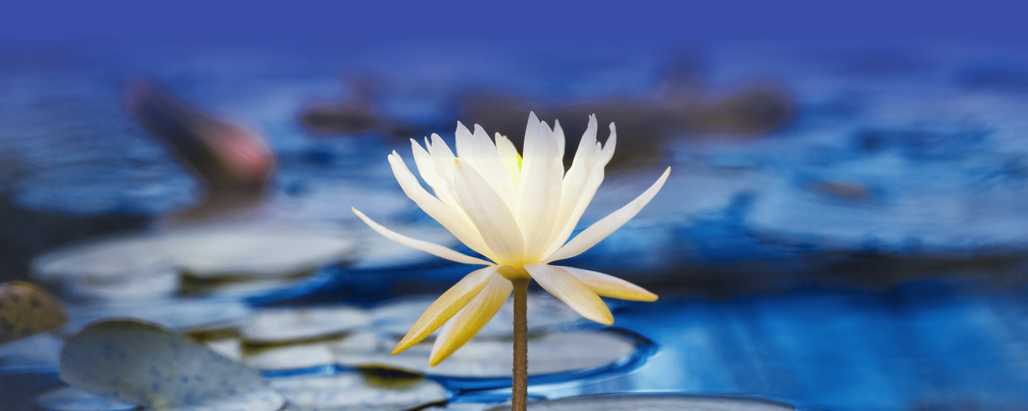 slide vijvercentrum overloon2