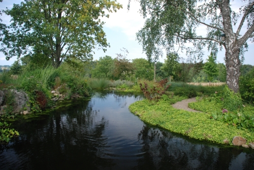 koivijver_project_scheulder_20150924_1843733193