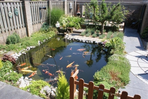 project_overloon_20151009_1205169490