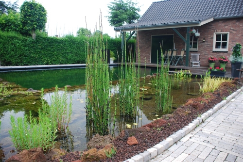 project_middelbeers_20151008_1202396378