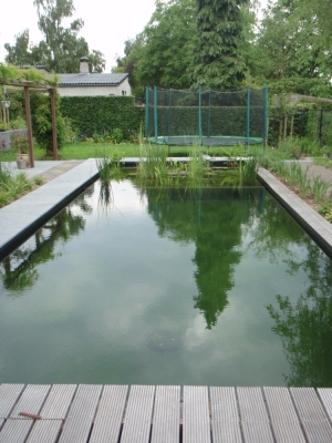 project_mook_20151010_1254252582