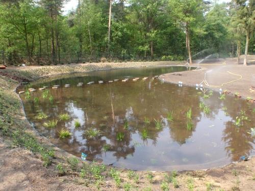 project_waalre_20151010_1585036786