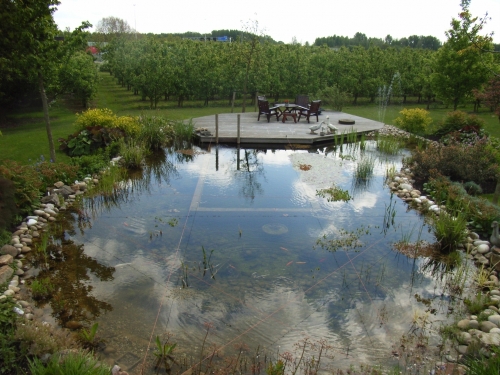 zwemvijver_project_ijsselstein_20150920_1176000791