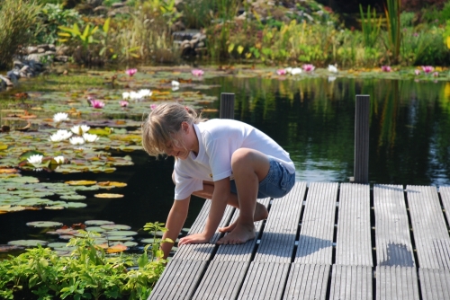 zwemvijver_project_kronenberg_20150920_1517301457