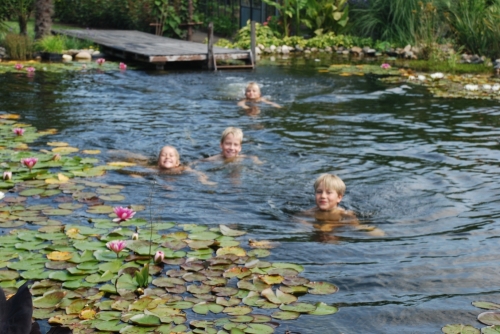 zwemvijver_project_kronenberg_20150920_1965937169