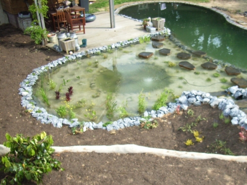 zwemvijver_project_venlo-boekend_20150920_1585879210