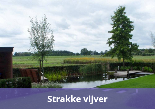 strakke vijver vijvercentrum overloon
